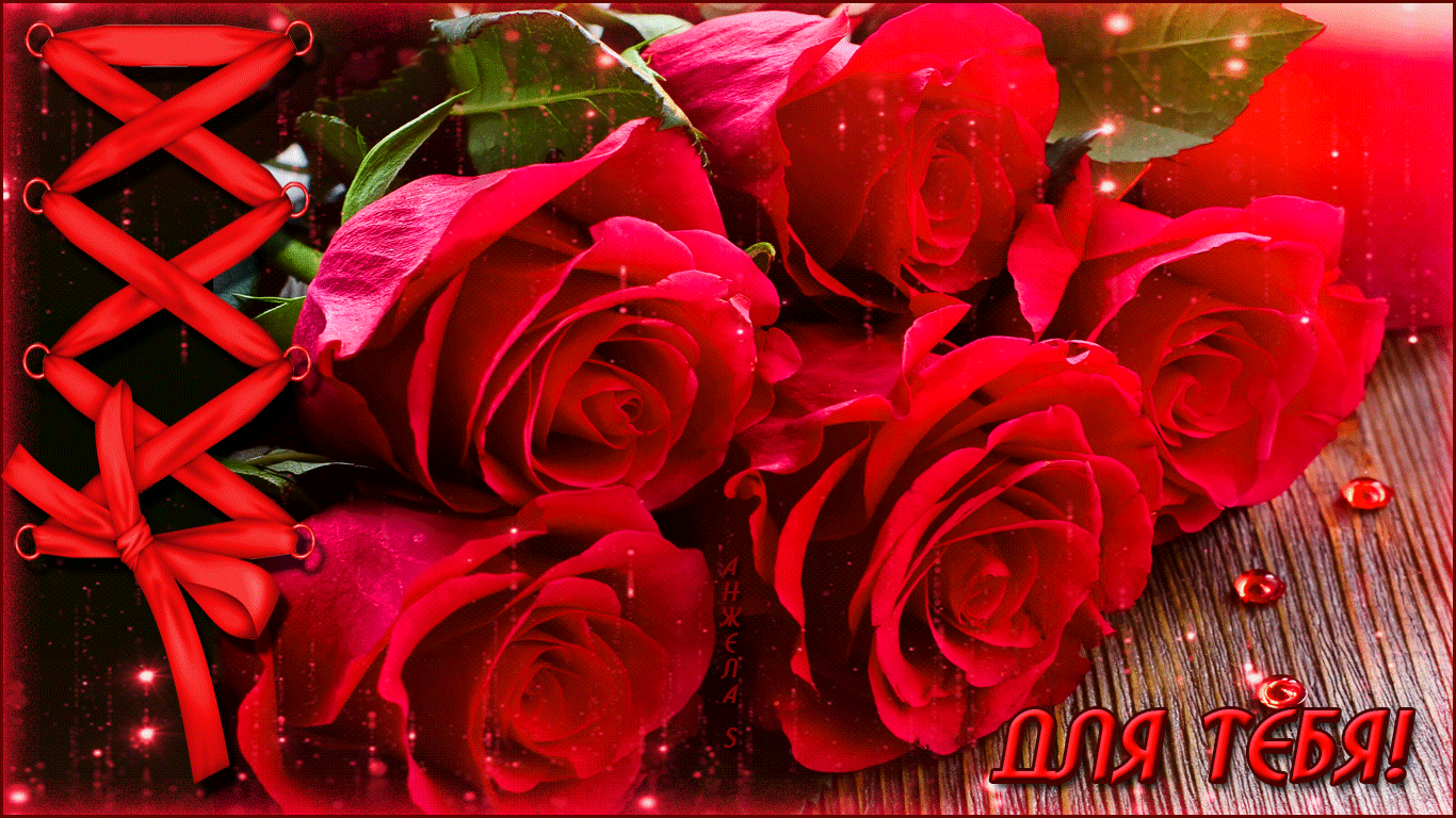 Ролик любимой жене. Красные розы. Розы картинки красивые. Красные розы для тебя. Букет красных роз для тебя.